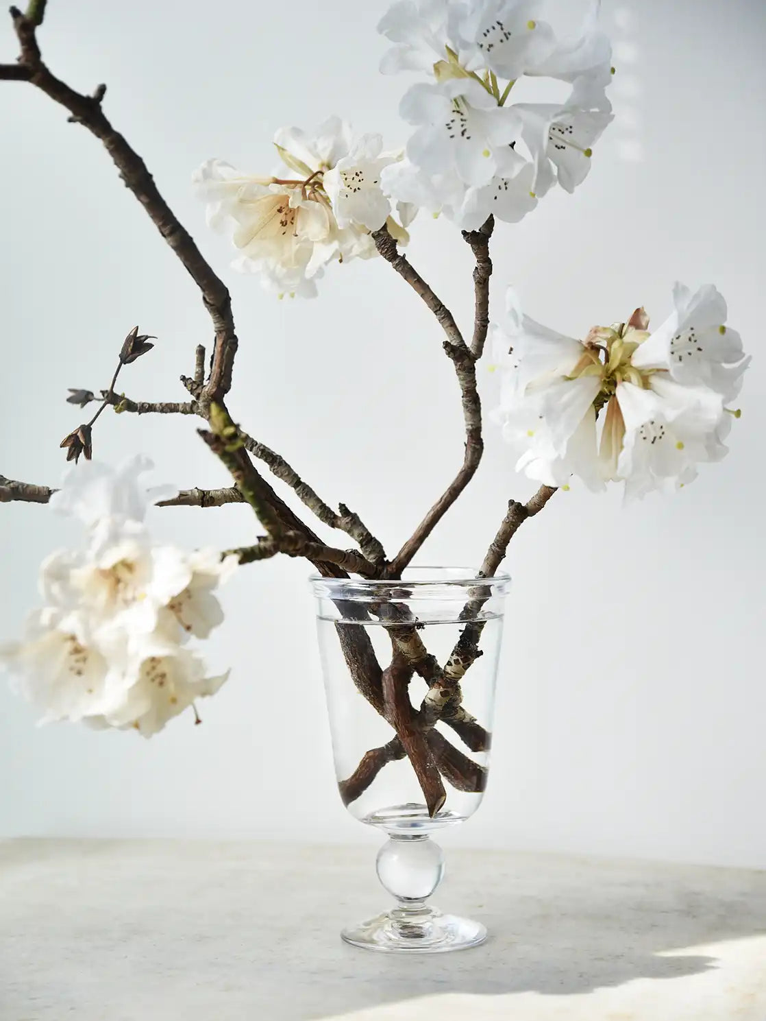 Anniversary Vase “Källa”