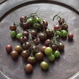 Cherry tomato 'Black Cherry'