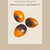 Tomato 'Indigo Kumquat'