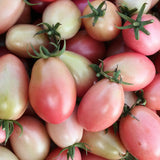 Tomato 'Pink Thai Egg'